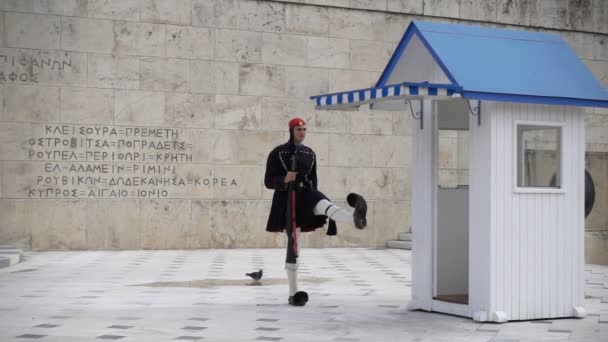 Atenas, Grecia - 15 de noviembre de 2017: Cambio de la guardia presidencial frente al Monumento del Soldado Desconocido, junto al Parlamento griego, Plaza Syntagma . — Vídeos de Stock