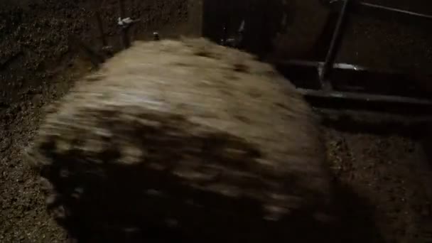 Macinazione delle olive durante la produzione di olio d'oliva — Video Stock