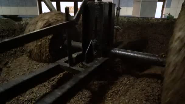 Подрібнення оливок під час виробництва оливкової олії — стокове відео