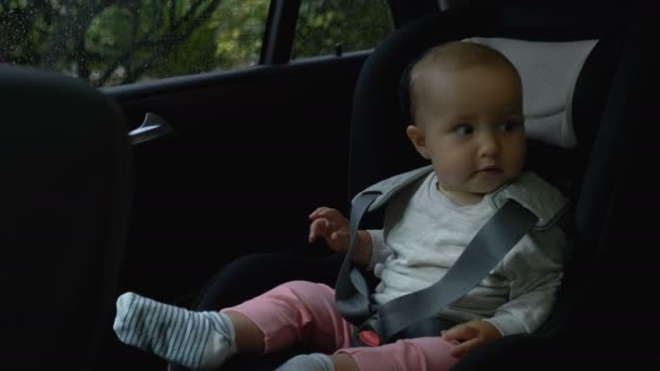 Småbarn flicka sitter i en barnstol i bilen — Stockvideo