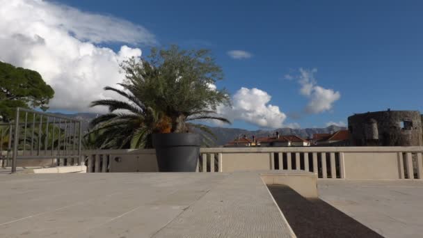 Primer plano de skater skateboarder hombre haciendo truco ollie en cámara lenta, saltar por encima de los pasos — Vídeo de stock