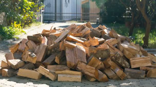 Bois de chauffage d'une grande pile disparaissent un par un — Video