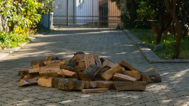 Brandhout verschijnt een voor een en vormde een grote stapel in de tuin — Stockvideo