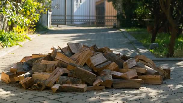 Brandhout verschijnt een voor een en vormt een grote stapel en verdwijnt dan — Stockvideo