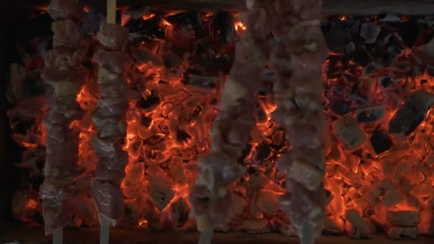 Cocinar barbacoa de carne en la parrilla de carbón en el picnic . — Vídeos de Stock