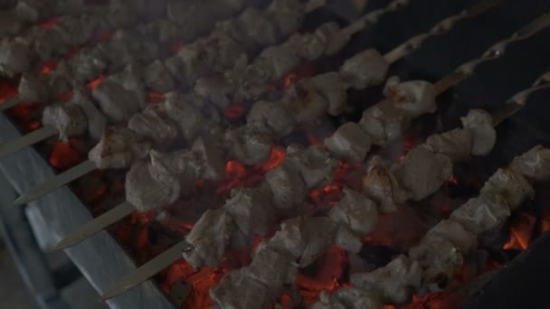 Cocinar barbacoa de carne en la parrilla de carbón en el picnic . — Vídeo de stock