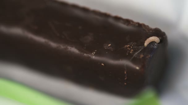 Larva on damaged chocolate candy — Stock Video