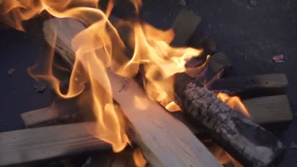 Burning firewood inside the grill — 비디오