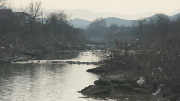 Bolsas de plástico rotas cuelgan de árboles y arbustos a lo largo del río — Vídeos de Stock