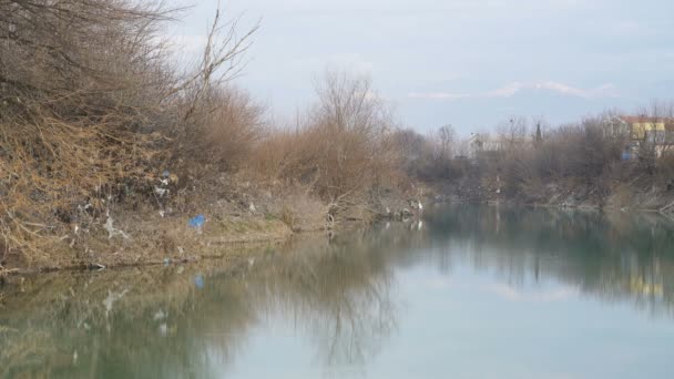 Torn plastic bags hang on trees and shrubs along the river — Stock Video