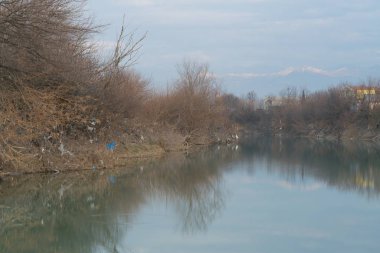Yırtık plastik torbalar nehir boyunca ağaçlara ve çalılara asılıyor.