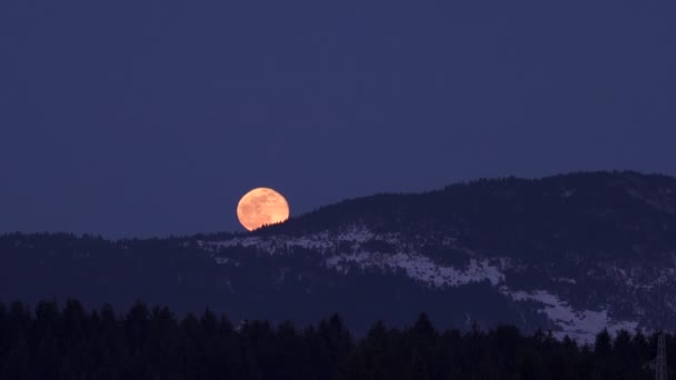 Moonrise sobre colinas arborizadas no inverno — Vídeo de Stock