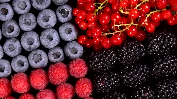 新鲜的覆盆子、黑莓、红醋栗和蓝莓 — 图库视频影像