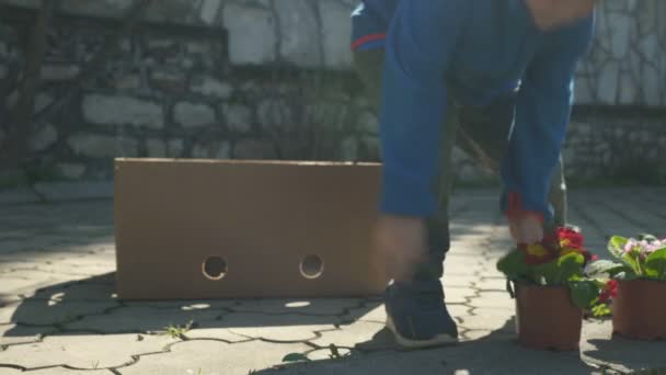 El niño está plantando flores — Vídeo de stock