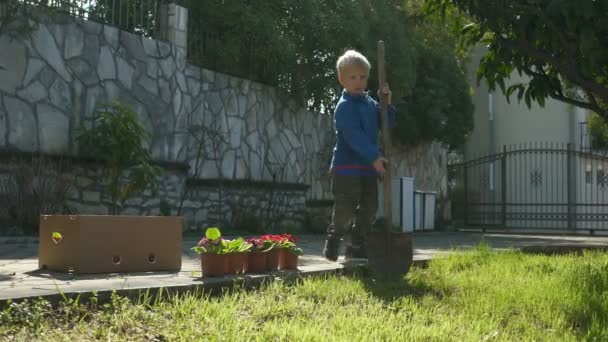 Το αγόρι φυτεύει λουλούδια. — Αρχείο Βίντεο