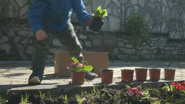 Chłopiec sadzi kwiaty. — Wideo stockowe