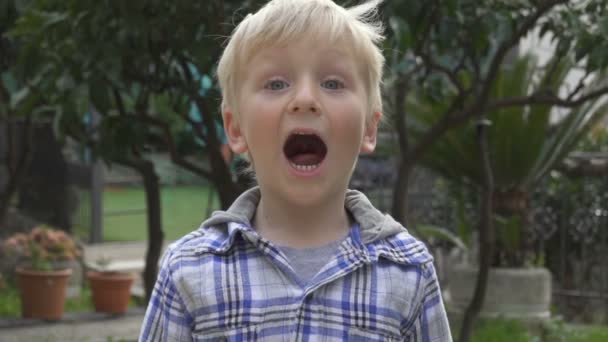 Παιδί αγόρι ουρλιάζει στον κήπο — Αρχείο Βίντεο