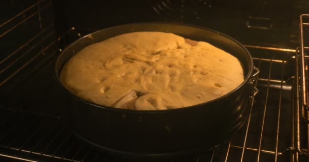 Ciasto gąbka do pieczenia w piekarniku — Wideo stockowe