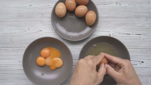 Separation of yolk and protein of chicken eggs — Stock Video