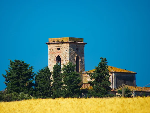 Clocher dans un champ de blé — Photo