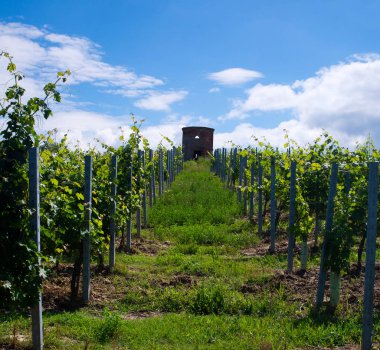 tarihi watchtower ile bağ