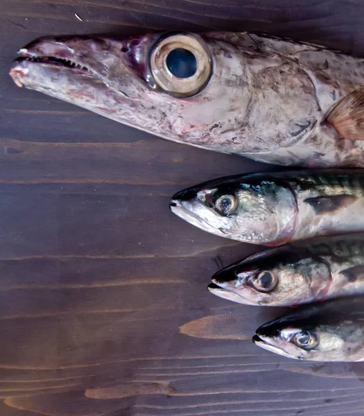 Pescado azul recién capturado ideal para una dieta saludable —  Fotos de Stock