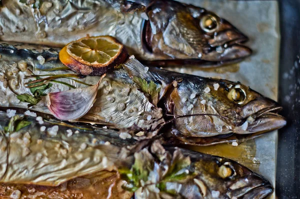 Peixe oleoso rico em antioxidantes cozinhados na hora — Fotografia de Stock