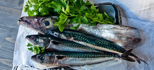 Pescado azul recién capturado ideal para una dieta saludable —  Fotos de Stock