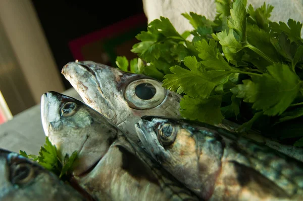 Peixe azul recentemente capturado grande para uma dieta saudável — Fotografia de Stock