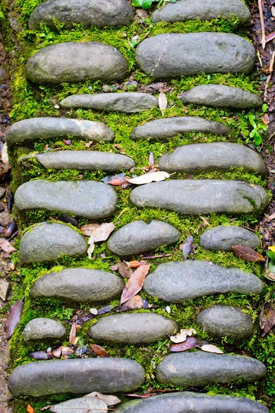 Ancient stone path in the woods — Stock Photo, Image