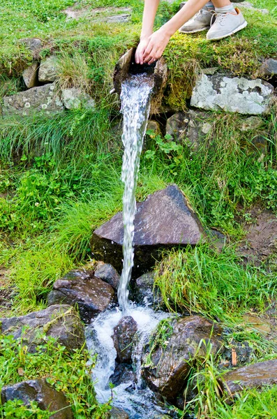 Cours d'eau dans la forêt dans les montagnes — Photo