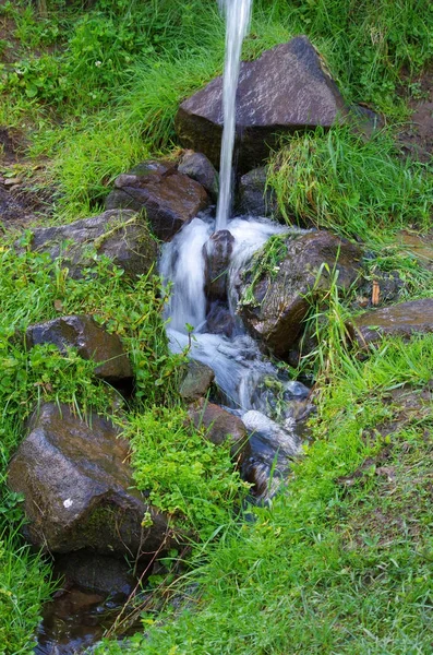 Bach im Wald in den Bergen — Stockfoto