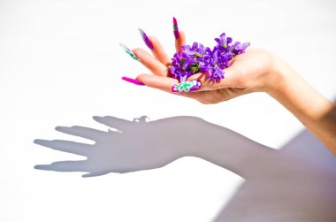 Çivi dekore edilmiş bir renkli bahar çiçek düzenlemeleri ile bir