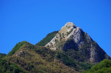 dağ tepe sevişmek ve ağaç yok