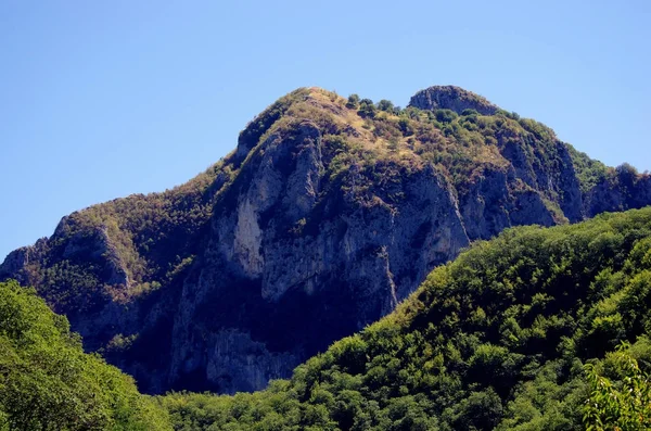 dağ tepe sevişmek ve ağaç yok