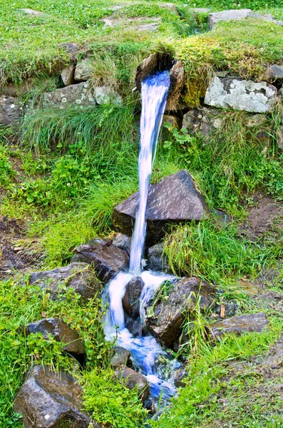 Stream in the forest in the mountains