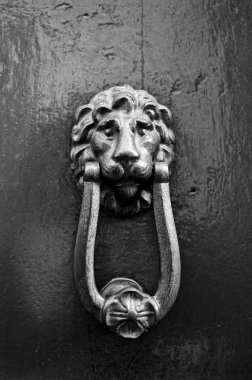 Aslan başı Knocke kapı