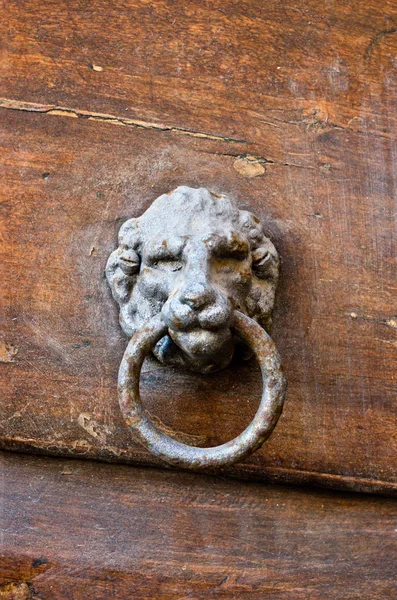 Porte tête de lion Knocke — Photo