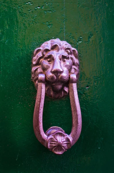 Porte tête de lion Knocke — Photo