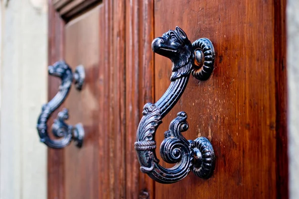 Dragon-vormige grepen van een oude deur — Stockfoto