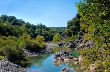 dağlar ormanın ortasında nehir akar