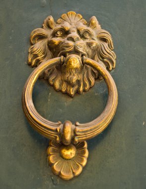 Aslan başı Knocke kapı