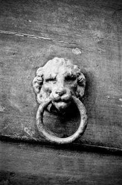 Aslan başı Knocke kapı