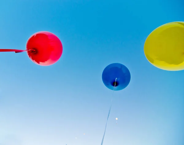 Colored balloons in the blue sky — Stock Photo, Image