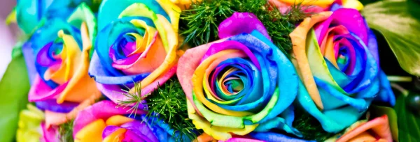 Rosas coloridas com as cores do arco-íris — Fotografia de Stock