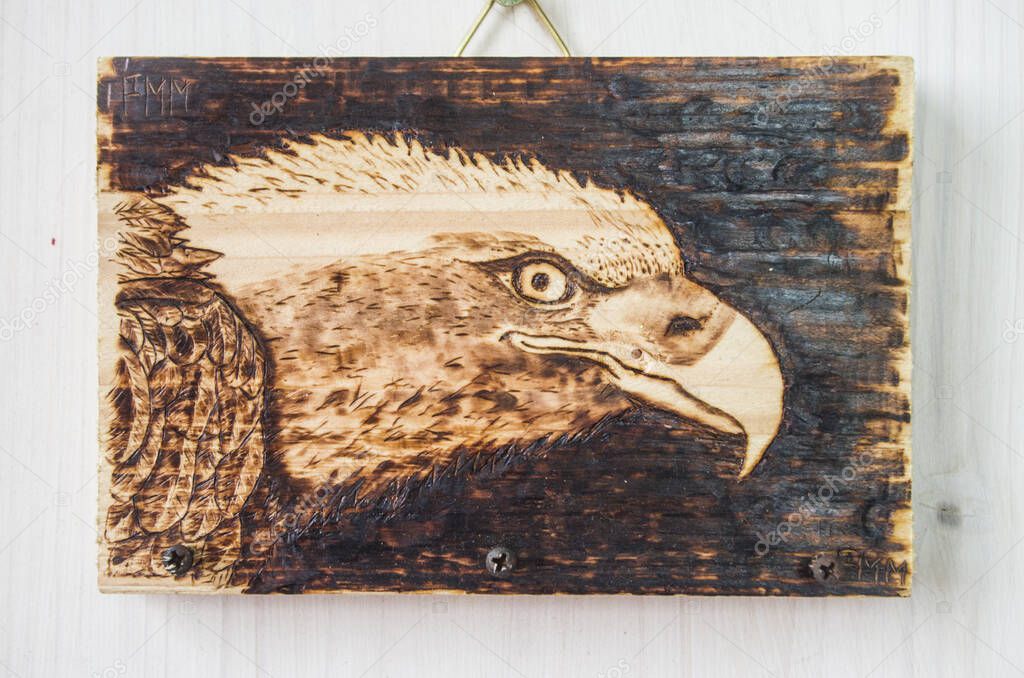 the ancient art of pyrography, wood and fire, the eagle's eye, h