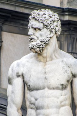 Floransa heykeli Piazza della Signoria 'da, İtalyan Floransa Rönesansı: Herkül ve Cacus