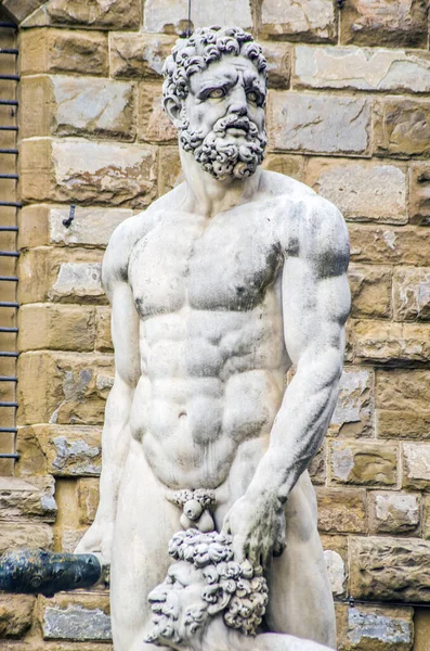 Estatua Florencia Piazza Della Signoria Renacimiento Florentino Italiano Hércules Caco —  Fotos de Stock