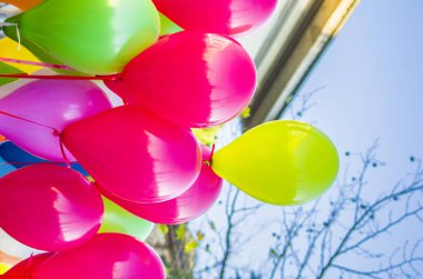 Her renkten balonlar çocukların neşesi için hazır ya da partinizi neşelendirmek için.