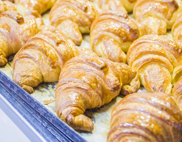 Real Pastry Desserts Pastries Cakes Prepared Artisan Laboratory Croissants Various — Stock Photo, Image
